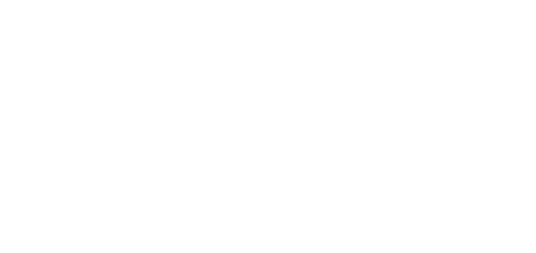 Tyler Analytics Corporation